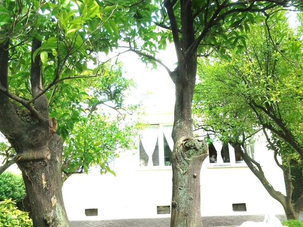 Hotel Piccolo Eden 네르비 외부 사진